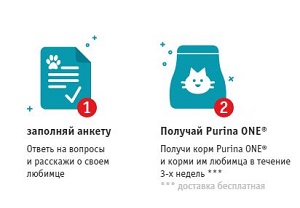 Бесплатный корм PURINA ONE® для кошек