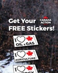 Бесплатные наклейки Canada Action