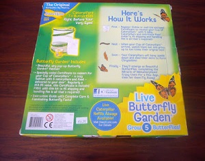 Бесплатное руководство по выращиванию и уходу за бабочками