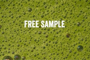 Бесплатный образец зеленого чая EntireTea Matcha