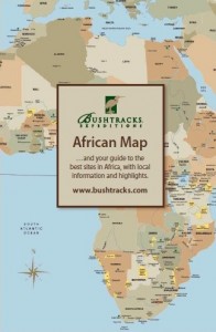 Бесплатная карта Африки