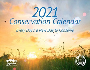 Бесплатный календарь на 2021 год по почте