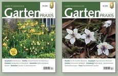 Бесплатный журнал для садоводов