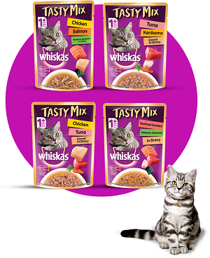 Бесплатный корм для кошек Whiskas Tasty Mix