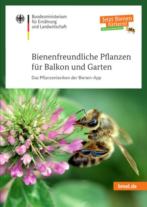 Бесплатная энциклопедия пчелоопыляемых растений