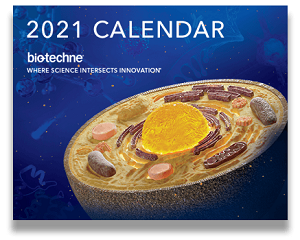 Бесплатный календарь на 2021 год по почте