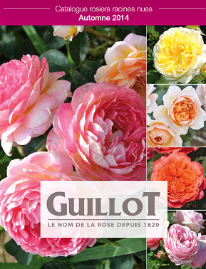 Бесплатный каталог роз из Франции