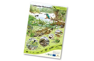 Бесплатные плакаты и брошюры про природу