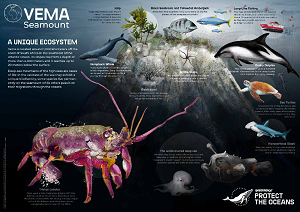Бесплатный плакат о животных морских глубин