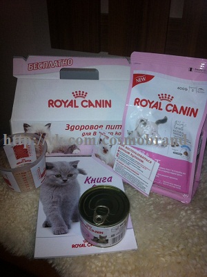 Подарок для котенка от Royal Canin 